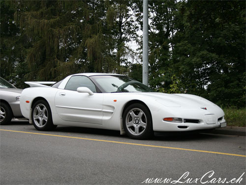 Corvette