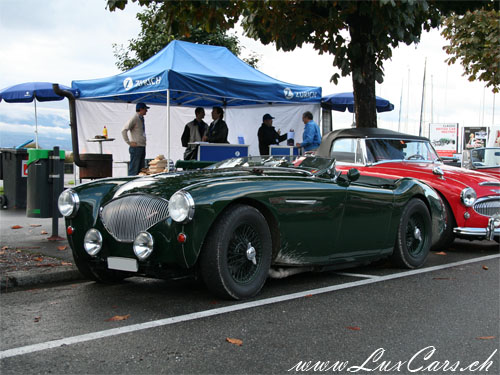 Austin Healey 100M