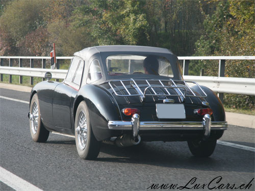 MG