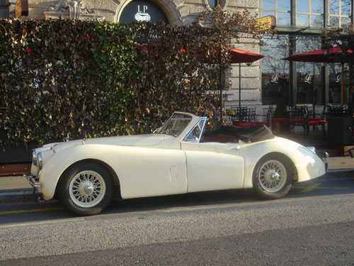 Jaguar XK 120