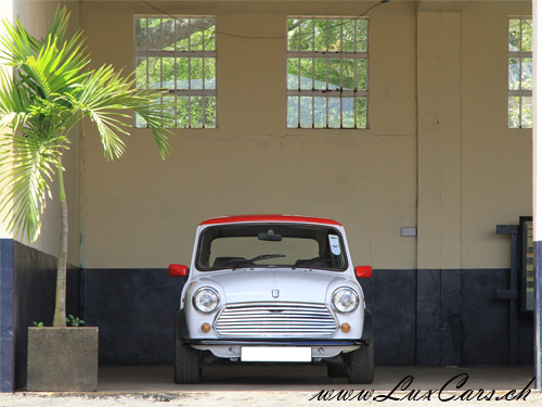 Mini