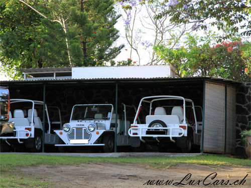 Mini Moke